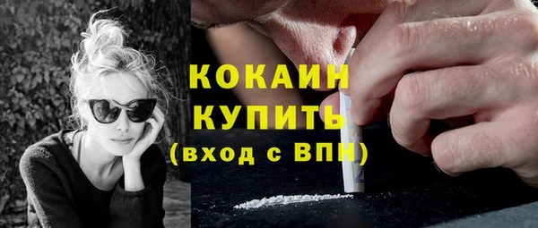 трава Гусиноозёрск