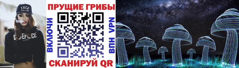 KRAKEN зеркало  Печора  Галлюциногенные грибы прущие грибы 
